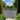 Frond Fence